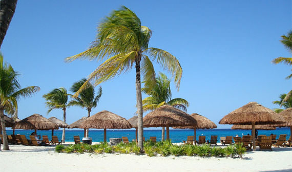 Sonniger Strand mit Palmen